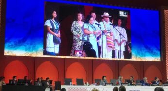 Nuevo reconocimiento de la Unesco al patrimonio colombiano