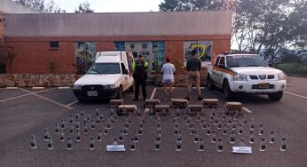 Incautan 985 botellas de licor adulterado en el Valle