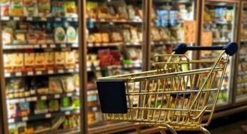 Envió la lista del mercado, en vez de la hoja de vida y nunca la llamaron