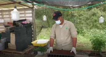 Este 10 y 11 de noviembre, la I Cumbre Nacional de Cannabis y Cáñamo se toma el Valle del Cauca