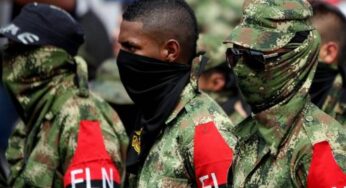 ELN levanta el paro armado en el Valle del Cauca y Chocó
