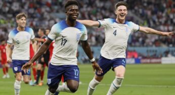La Liga inglesa, la más representada en cuartos de final del Mundial