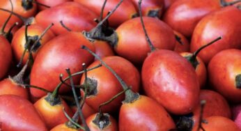 Lo que pasa si se toma jugo de tomate de árbol todos los días
