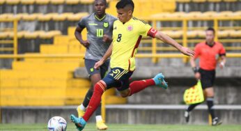 Estos son los jugadores que el Suramericano Sub-20 los catapultó a Europa