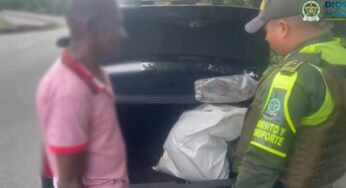 Incautan 10 ranas venenosas que iban a ser comercializados en el exterior