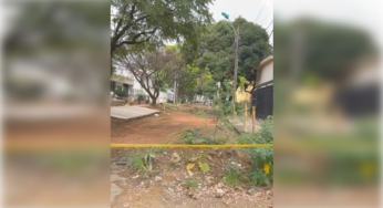 A las 'obras' primero le salieron matas antes que terminarlas