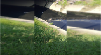 VIDEO: Encontraron el cuerpo de un hombre flotando en un caño de Andrés Sanin