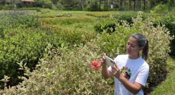 El Ecoparque Corazón de Pance aún no tiene fecha de inicio