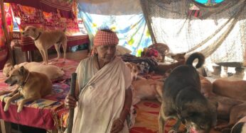 Vecinos de una anciana protestan porque ella cuida 200 perros