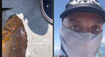Capturan un pescado con un número en sus escamas y aseguran que es el de la suerte