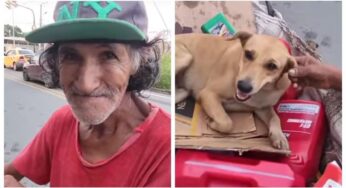Ofrecieron dólares a un abuelo reciclador a cambio de su perrita y su respuesta conmueve las redes