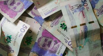 Arrancaron los pagos de Renta Ciudadana: consulte aquí cómo reclamar el subsidio de $500.000