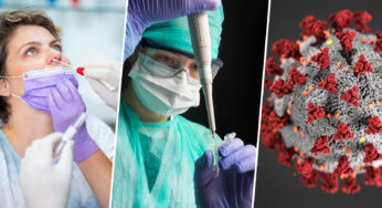 Nueve virus que generarían una pandemia peor que la del Covid-19