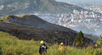 Ofrecen recompensa para capturar a responsables de incendios en los cerros
