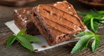 Joven les dio brownies 'mágicos' a sus compañeros de clase y los intoxicó