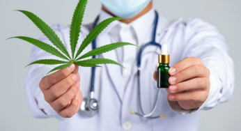 Médicos dan 'espaldarazo' al uso del cannabis como remedio
