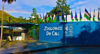 ¡Prográmese! El zoológico de Cali tendrá entrada gratis para niños menores de 12 años este sábado
