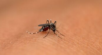 ¡Alerta amarilla! aumentan los casos de dengue en Cali