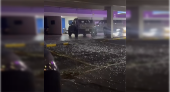 ¡Querían estrenar! Se iban a robar un carro de un concesionario