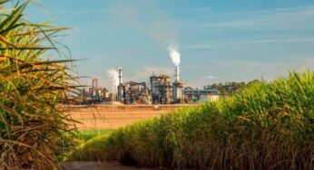 Dos trabajadores de un ingenio azucarero fueron retenidos por un grupo al margen de la ley