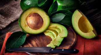 ¿Es bueno tomar el agua de la pepa de aguacate? Aquí le contamos