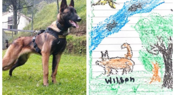 El tierno dibujo que los niños rescatados hicieron del perro Wilson