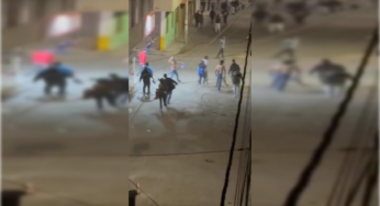 VIDEO: Confrontaciones entre hinchas tras la final entre Millonarios y Nacional
