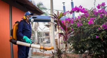 ¿Cuáles son los barrios de Cali donde más se están reportando casos de dengue?