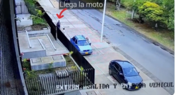 ¡Abandonaron a dos perritas en Bienestar Animal de Cali! Con imágenes de video buscan a los responsables
